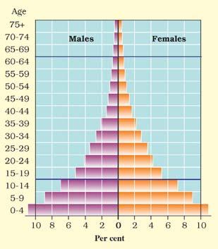 The shape of the population pyramid tells the story of the people living in that particular country. The numbers of children (below 15 years) are shown at the bottom and reflect the level of births.