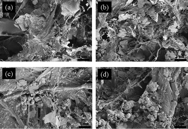 Figure 5. SEM micrographs of untreated (top) and TMSC-Mg(OH)2 NPs treated (bottom) HWP paper.