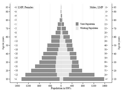 Figure 1: Age-gender Population Pyramid with