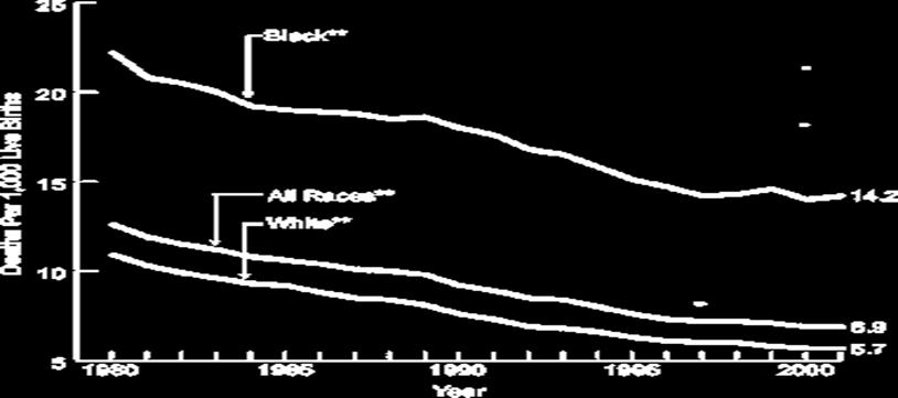 Race/Ethnicity of Mother: 1980-2001