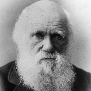 inner-workings of nature through precise observation Charles Darwin