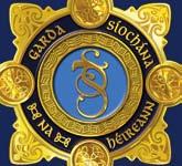 An Garda Síochána Public Attitudes Survey Bulletin 2017 Research conducted by This bulletin presents key findings from the first quarter of the Public Attitudes Survey conducted between January and