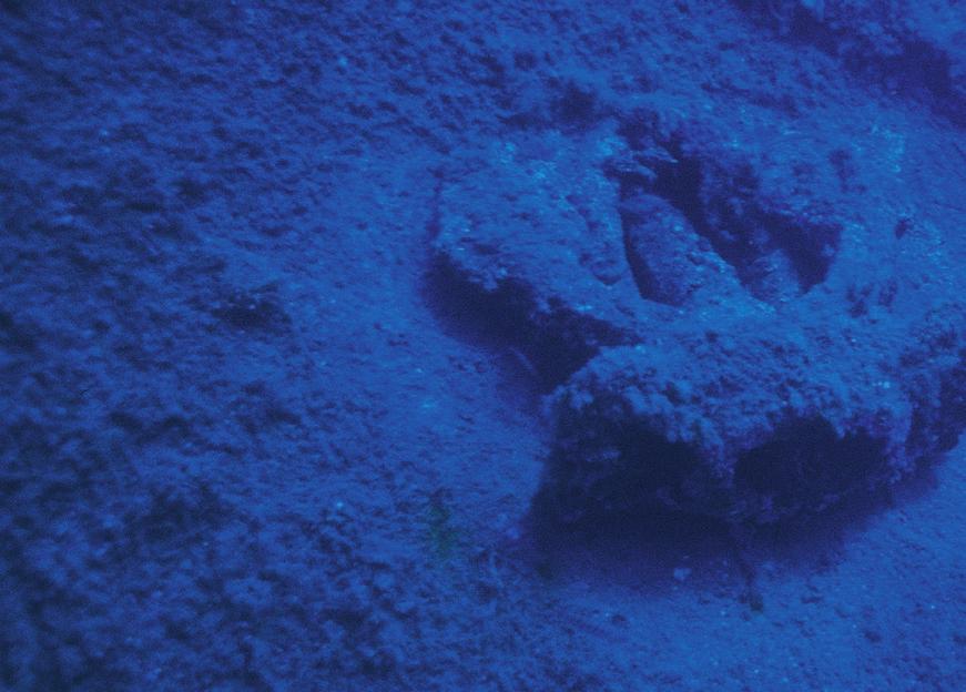 Contact UNESCO Section of Museums and Cultural Objects Secretary of the Convention on the Protection of the Underwater Cultural Heritage 1, Rue