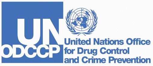 CICP Briefing to Permanent Missions December 16, 1999 UNCICP