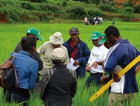 Good practices in African countries 1 Agriculture The Project for Rice Productivity Improvement and Management of Watershed and Irrigated Area (PAPRiz Phase 2) in Madagascar Madagascar annually