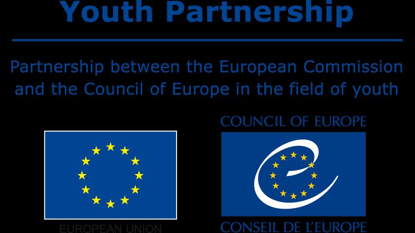 Analytical paper on Youth Participation Young people political participation in Europe: What do we mean by participation?