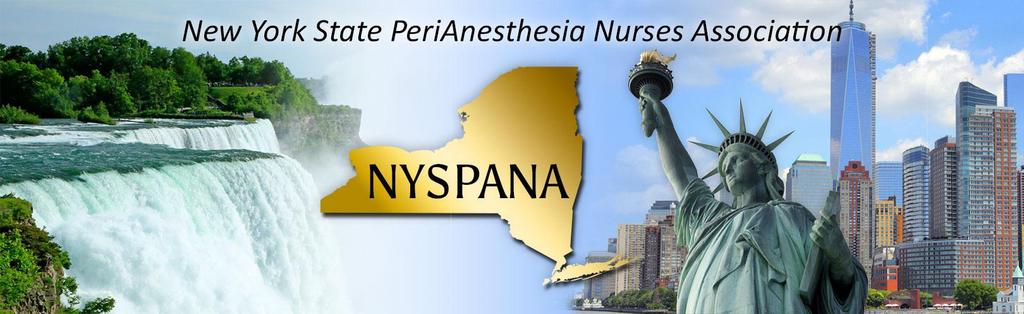 Perianesthesia Nurses Association advances nursing