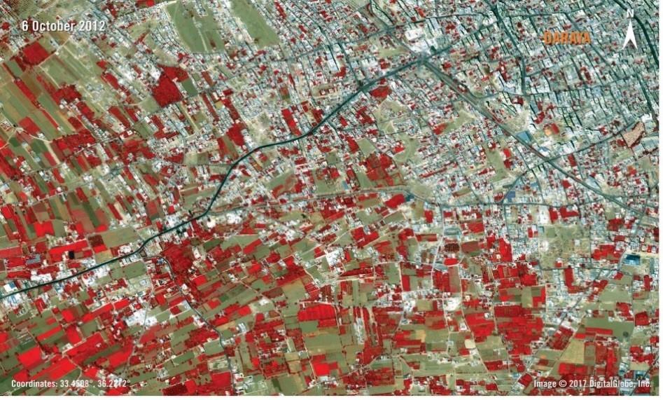 The lower satellite image from 31 October 2015 shows a significant decline in healthy vegetation (illustrated in red hues) south-west of central Daraya compared to that visible in the upper satellite