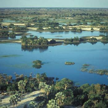 The Okavango delta is one of the world s largest inland deltas, on a river that flows through Angola, Botswana and Namibia.