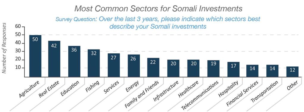 Investors and Investments: Many respondents identified as Somali investors For those