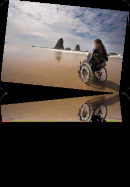 Accesibility/ Senior Ø 80 million people with disability in EU Ø ¾ of disable