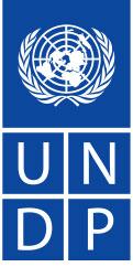UNITED NATIONS DEVELOPMENT PROGRAMME ELECTORAL SUPPORT AND PROGRESS TOWARDS