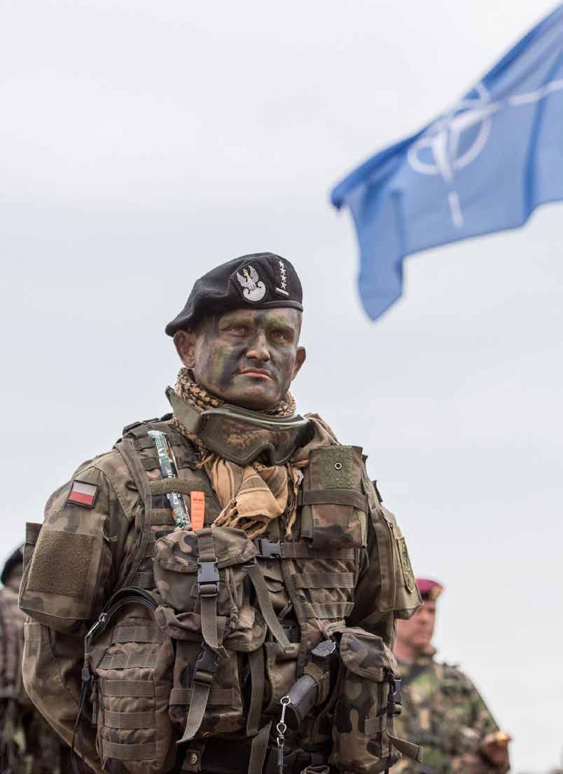 NATO IN A WORLD OF DISORDER: MAKING THE ALLIANCE READY FOR WARSAW ADVISORY PANEL