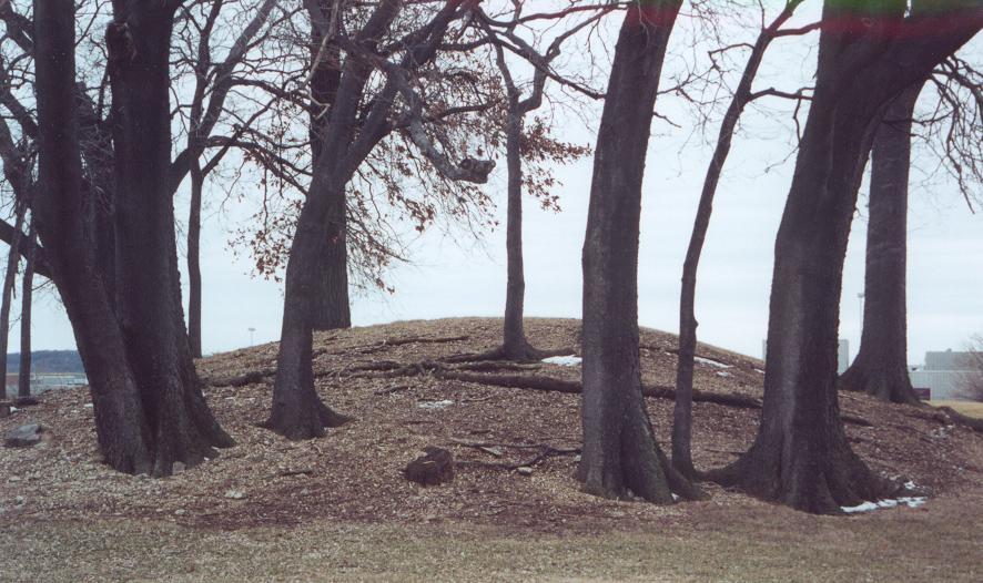 * The Mounds at Mossville, Peoria County along IL 29, are the most visible reminder of the Galena Trail s