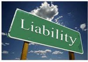 Liability Standards & Experts Immunity is Gone Responsibility has Arrived The judicial process will be enhanced only requiring that an expert witness render services to the degree of