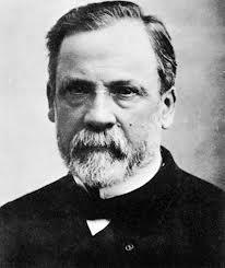 Family in the Industrial Revolution, cont d. Scientists like Louis Pasteur also played an important role in improving living conditions for people of all social classes.
