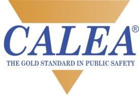 PUBLICATIONS SUBSCRIPTION AND ACCESS AGREEMENT TERMS & CONDITIONS FOR SUBSCRIBERS TO THE ELECTRONIC PUBLICATIONS THIS SUBSCRIPTION AND ACCESS AGREEMENT ( Agreement ) by and between CALEA, Inc.