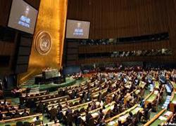 Briefing on Disarmament and International Security 2 Even if member states do not sign on to a resolution or fail to uphold the spirit of that agreement, resolutions serve the purpose of setting the