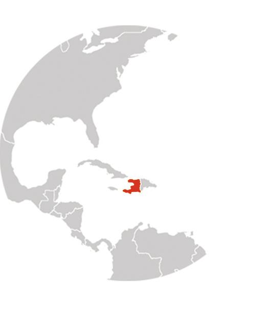 Haiti R E P O R T HAITI Ja nua r y 2 0 1 0 D