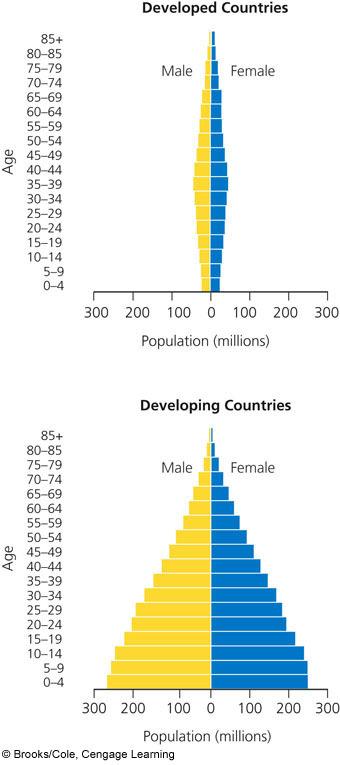 Population Structure by Age and Sex