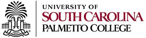 HANDBOOK FOR FACULTY SENATORS University of South Carolina