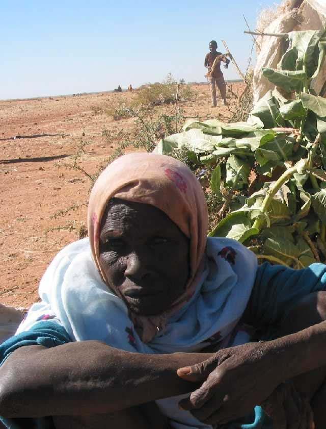 Darfur Crisis Rapid Environmental Assessment at the