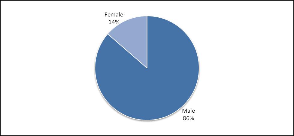 Figure 28. County elected officials by gender Figure 29.