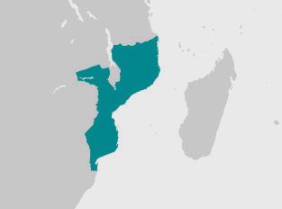 Mozambique In this report we provide an overview of some of the legal powers under the law of Mozambique that government agencies have to order Vodafone s assistance with conducting real-time