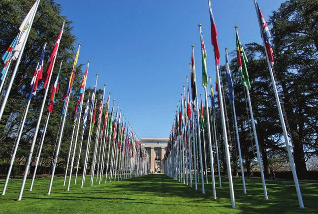 UN Photo/ Jean-Marc Ferré Palais des Nations, UN headquarters in Geneva. the printed version of the report and are listed under the corresponding field presence or division in the CD version.