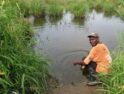 APPENDICES 1: Water sources in Kabaale a) Dirty water pond where used to be a bore hole.