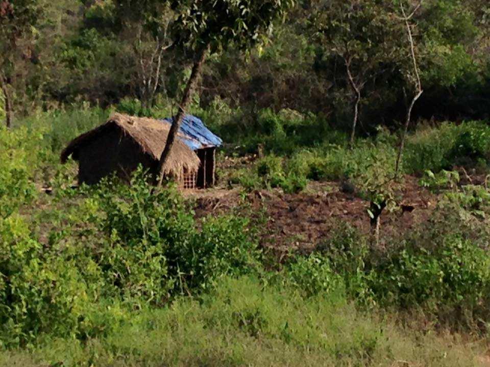 5. Photos showing displaced people of Kabaale living (camped) in forests.