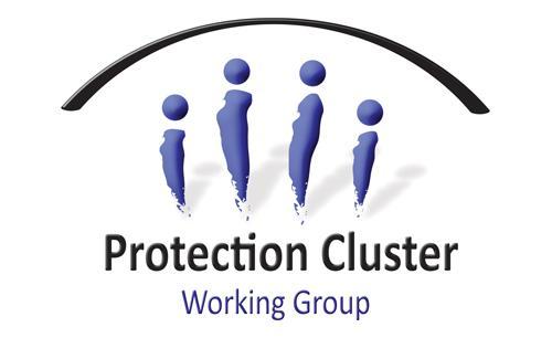 Protection Cluster Return Intention Survey - Overview of