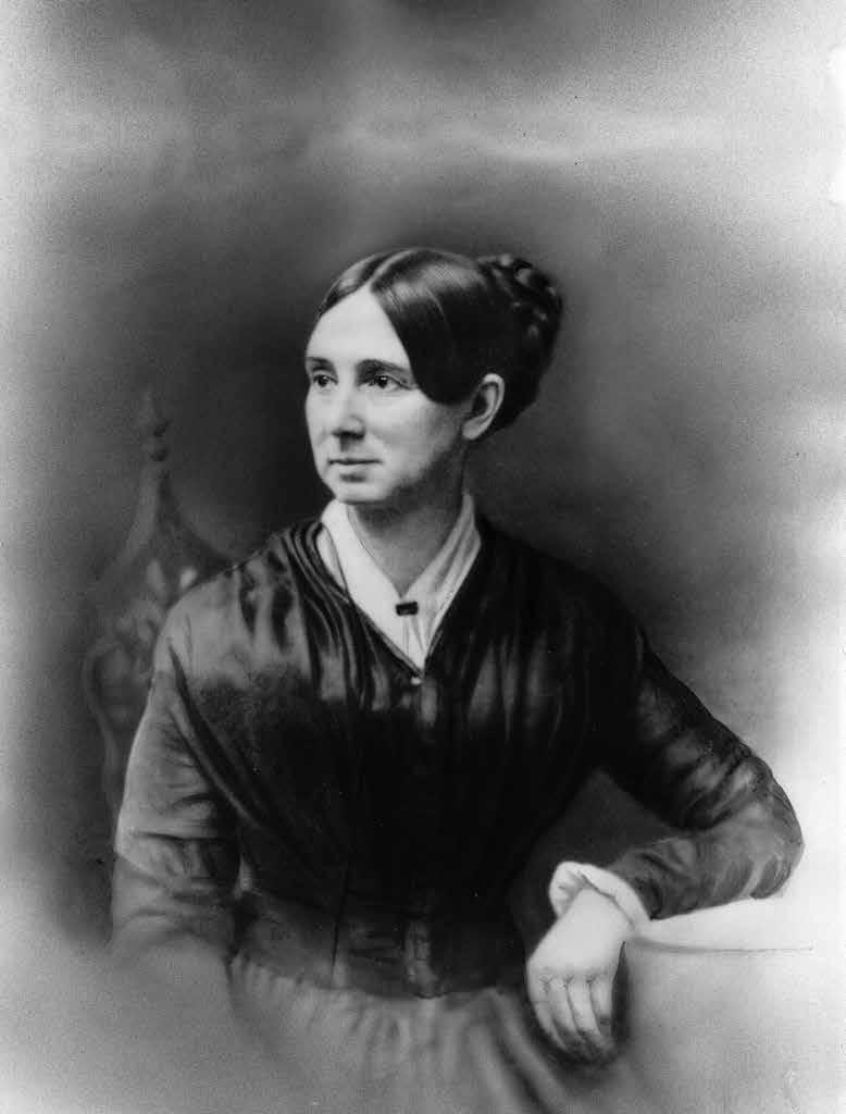 CHAPTER 2: Treating Mental Illnesses Dorothea Dix worked to improve care for people who had mental illnesses.