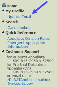 *** If you do not see the ecourts Appellate tab after logging in to the Judiciary Single Sign-On, contact the Appellate efiling Unit at 609.815.2950 ext. 52590 or njedatanotices.mailbox@njcourts.