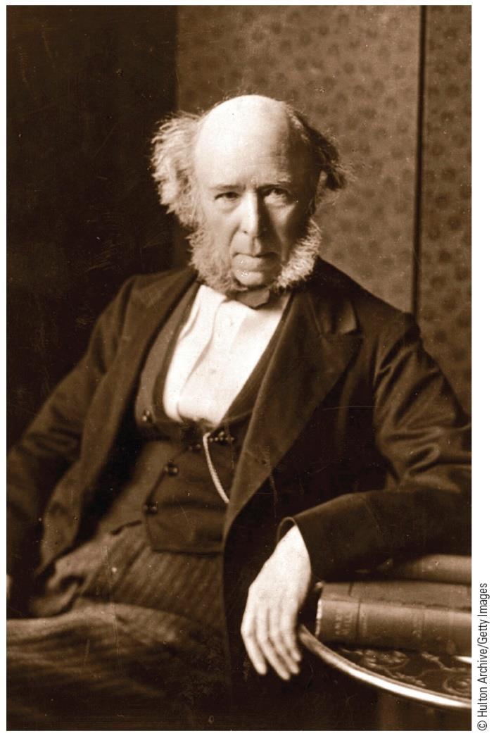 Herbert Spencer (1820-1903) Structural Functionalist evolutionary perspective