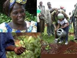 Wangari Maathai When Maathai won the Nobel Peace Prize, she already knew what she wanted to do: continue planting trees.