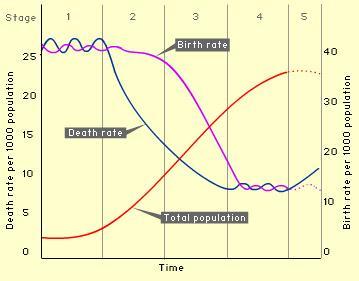 The Demographic Transition Model This model explains how birth and death rates change across the world and through time.