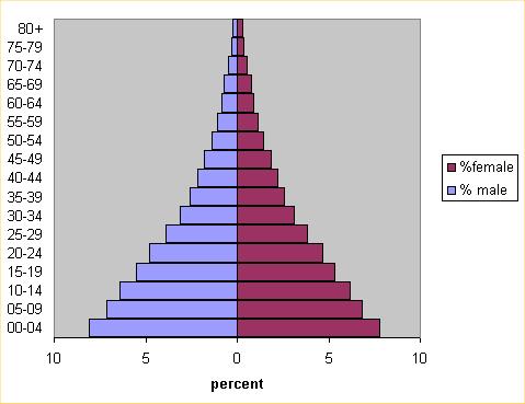The population pyramid should always add up to 100% Key terms Infant mortality rate the number of babies that die under a year of age, per 1000 live births Child mortality rate the number of children