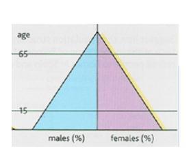 This means the pyramid is slightly less concave The base of the pyramid is still wide, showing a high number of children, therefore the birth rate is high.