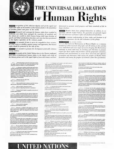 Universal Declaration of Human Rights (UDHR) General Assembly resolution 217 A A common standard of achievements for all peoples and all nations.