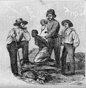 Colonial Slavery in the South In SC and Georgia, where rice was the predominant crop, African American slaves tended to be used mostly in the fields and remained somewhat segregated from white