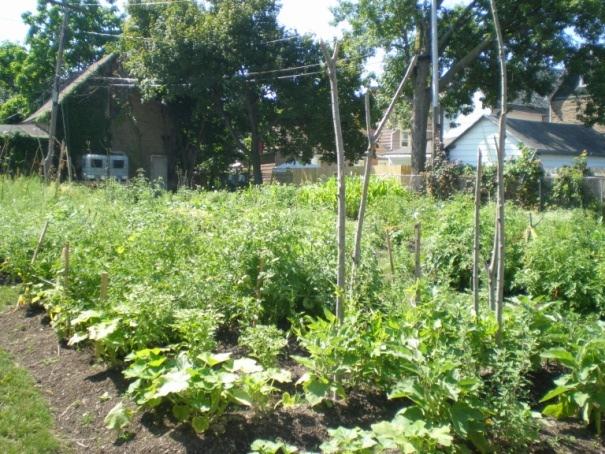 The benefits of helping refugees to garden and farm extend to the whole city: beautifying neighborhoods, combating crime, providing economic activity, and supplementing nutrition in Buffalo s food