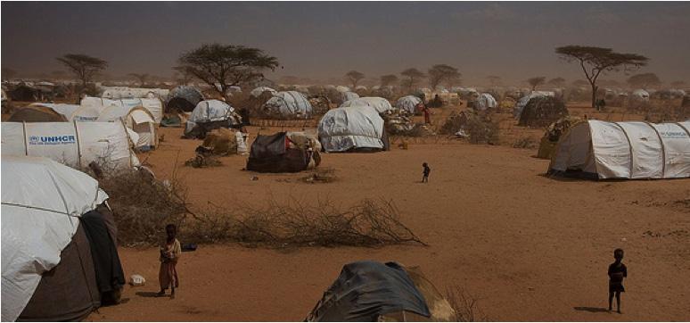 The worst drought and famine in more than 60 years have threatened the livelihood of 9.5 million people in the Horn of Africa since early 2011.