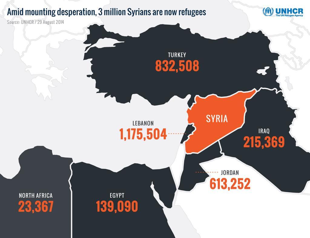 The War in Syria: Humanitarian Crisis 5,000,000+