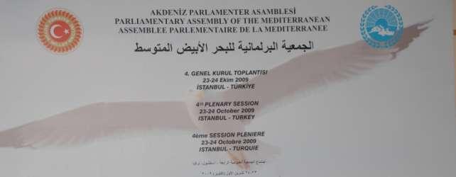 PAM IVth PLENARY SESSION ISTANBUL (TURKEY) 23-24