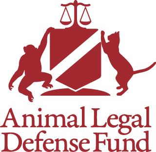 MODEL ANIMAL PROTECTION LAWS I. DEFINITIONS II. III.