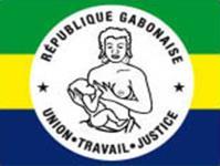 Ambassade de la République Gabonaise près le Canada 5. DONNEES SUPPLEMENTAIRES ADDITIONAL INFORMATION Motifs détaillés du séjour :.