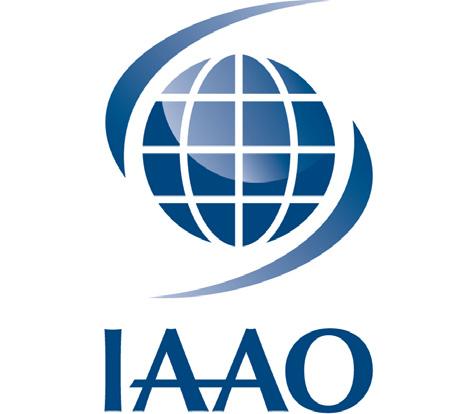 20 CHAPTER FORMATION GUIDE CHAPTER FORMATION GUIDE 21 GROUP FEDERAL INCOME TAX EXEMPTION In 1997 the IAAO Executive Board voted to afford IAAO Chapters in the United States to participate in a group