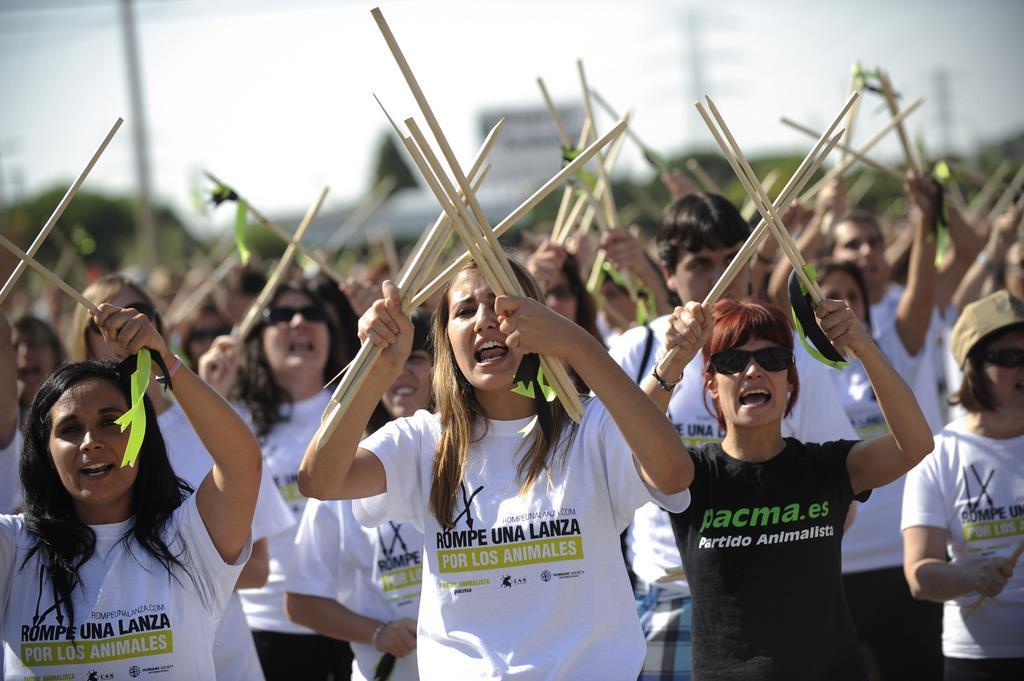 Hundreds of people have joined the protests since PACMA started them in 2003. Arriving from every Spanish region, the demonstration has become the symbol of social rejection to this celebration.