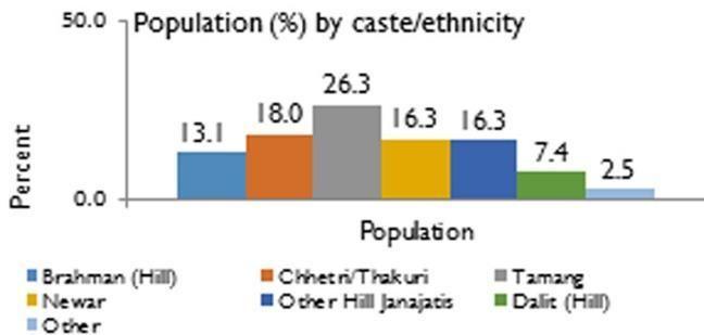 4 Caste/Ethnicity Nepal is known as a mosaic of diverse-caste ethnic groups. The study found, Tamang (26.3%), Chhetri/Thakuri (18%), followed by Newar, other Hill Janajatis, Brahmin and Hill Dalits 3.